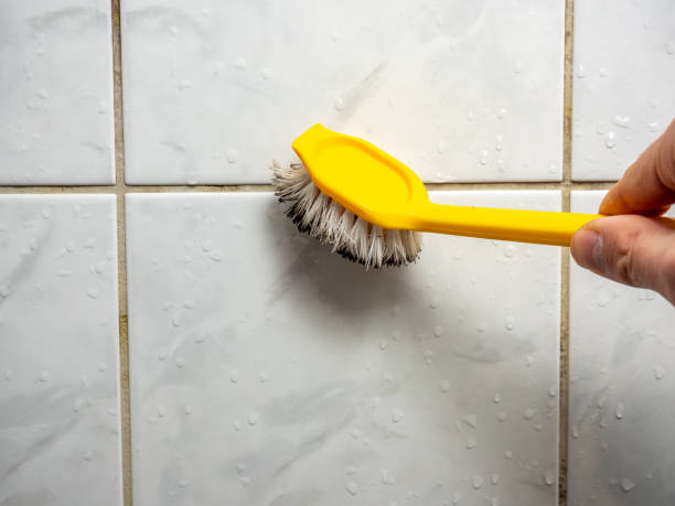 Best Office Mold Removal Services  in Winchester, OH