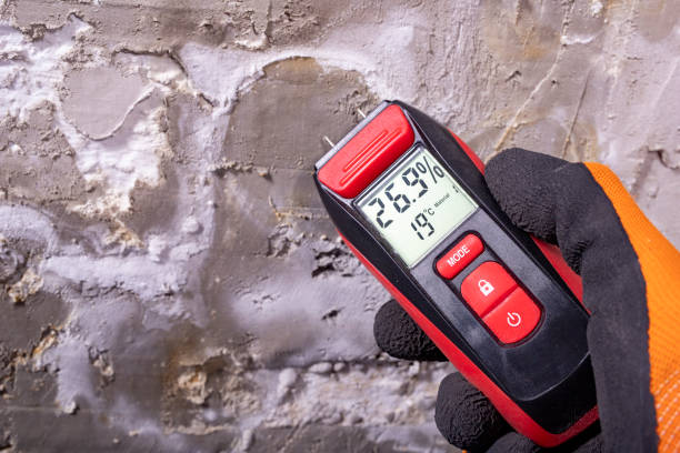Best Crawl Space Mold Removal  in Winchester, OH