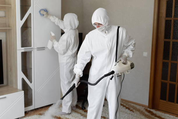 Best Commercial Mold Removal  in Winchester, OH